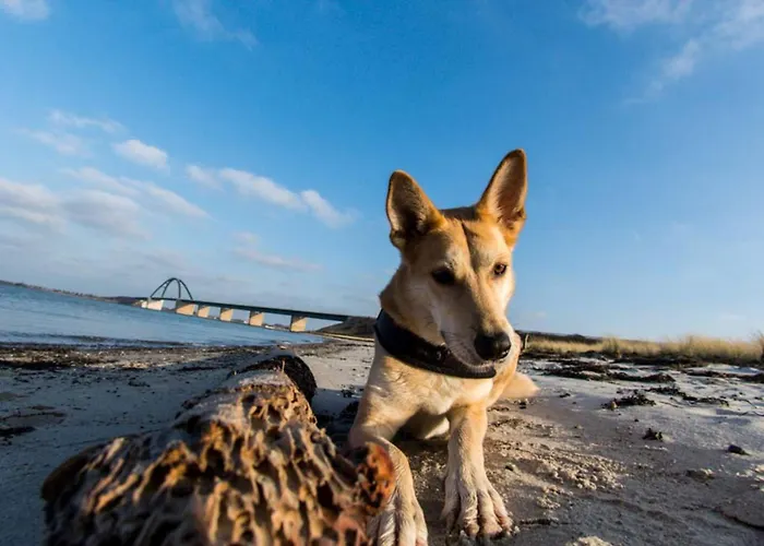 Windrose 3 - Apartamento